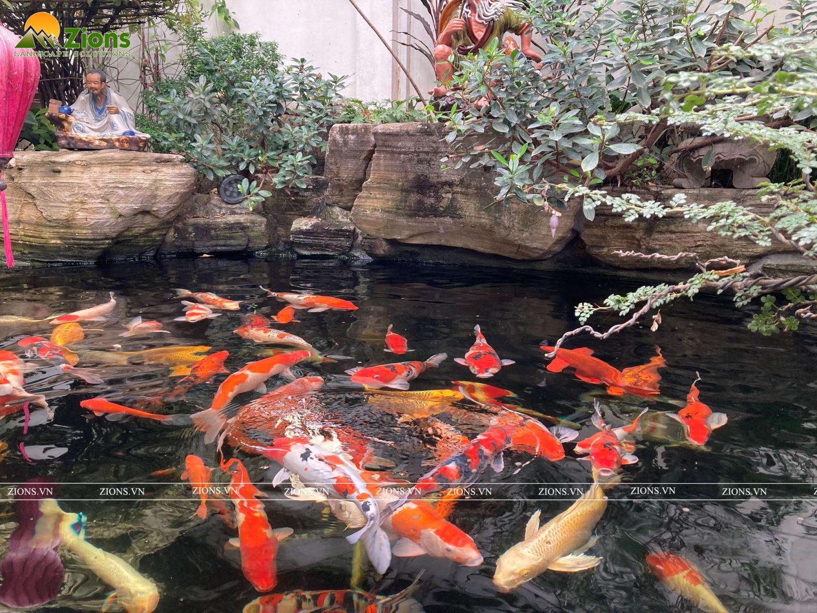 hồ cá koi zions