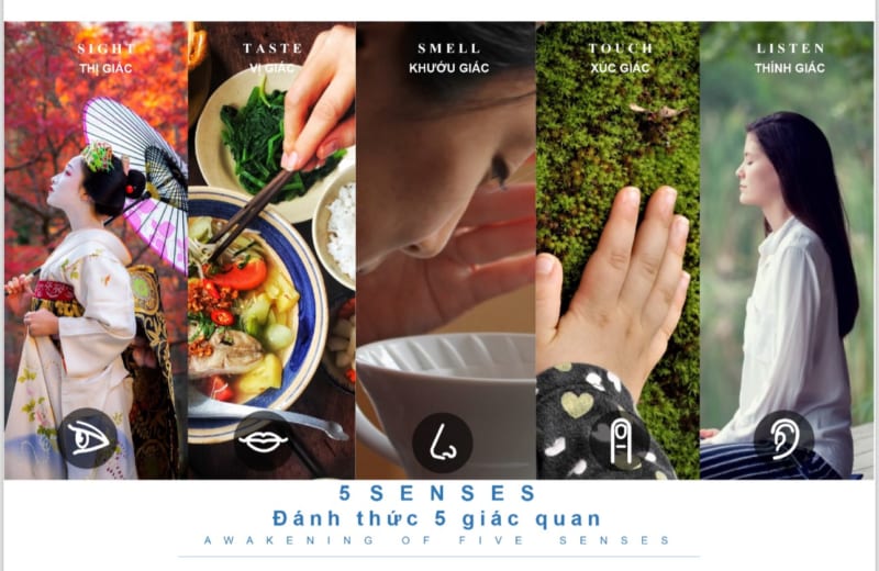 5 giá trị cốt lõi quyết định đẳng cấp trong quy hoạch thiết kế cảnh quan sân vườn