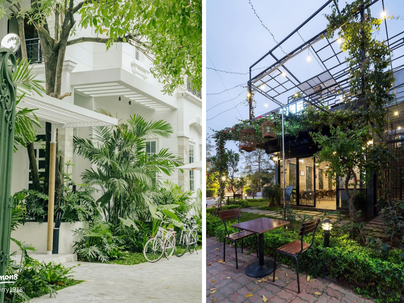 thiết kế cafe sân vườn nhiệt đới