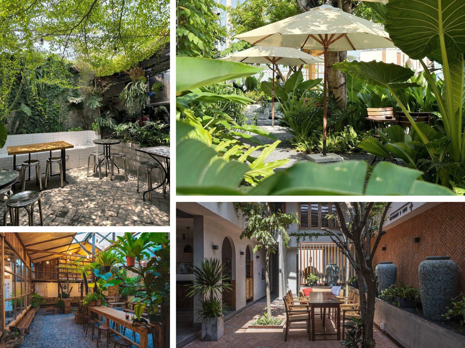 thiết kế cafe sân vườn nhiệt đới