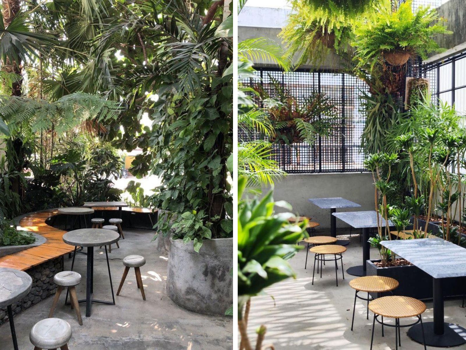 thiết kế cafe sân vườn nhiệt đới