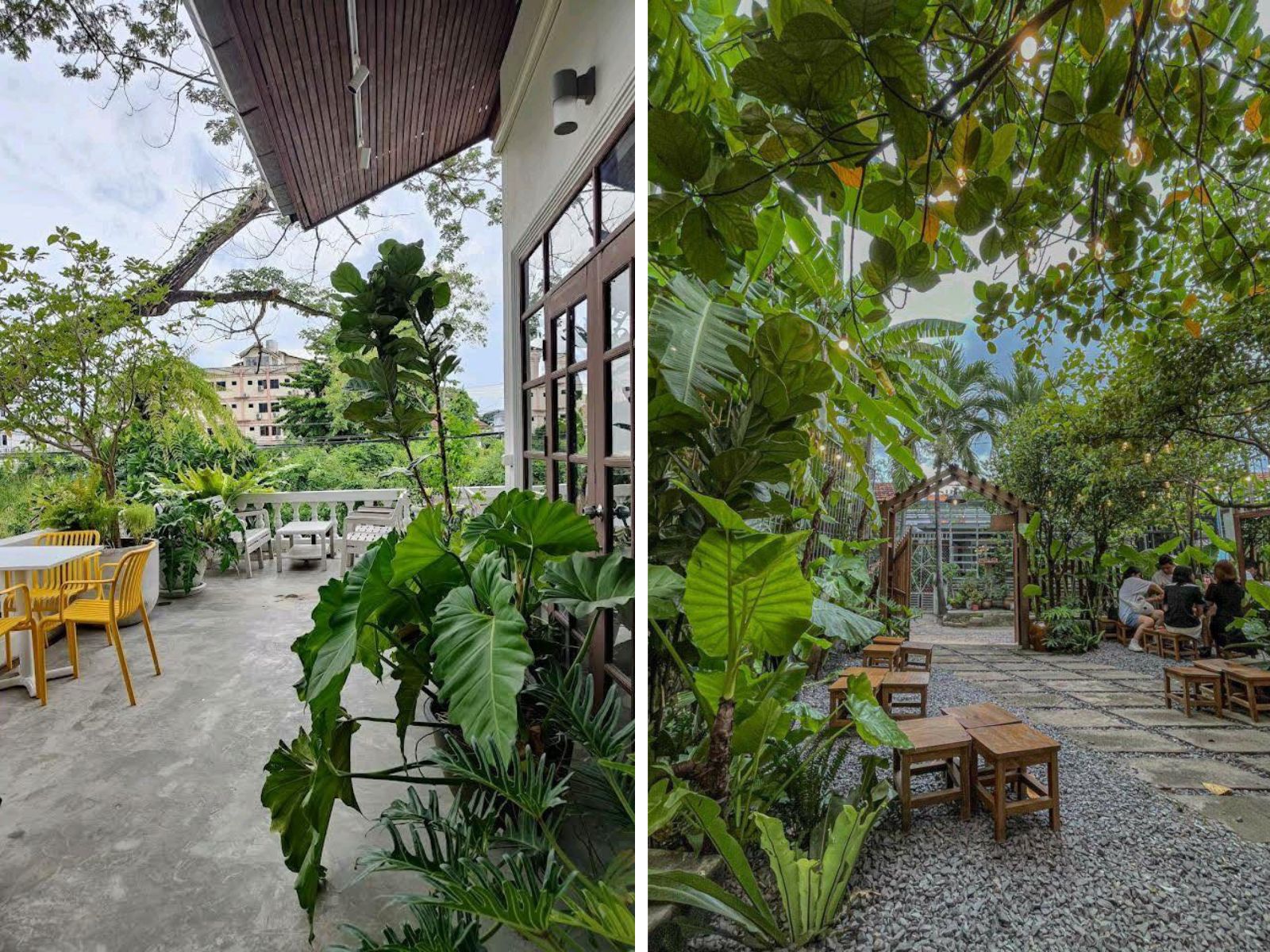 thiết kế cafe sân vườn nhiệt đới