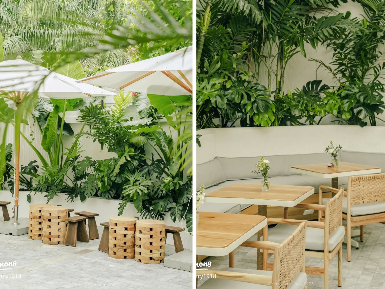 thiết kế cafe sân vườn nhiệt đới
