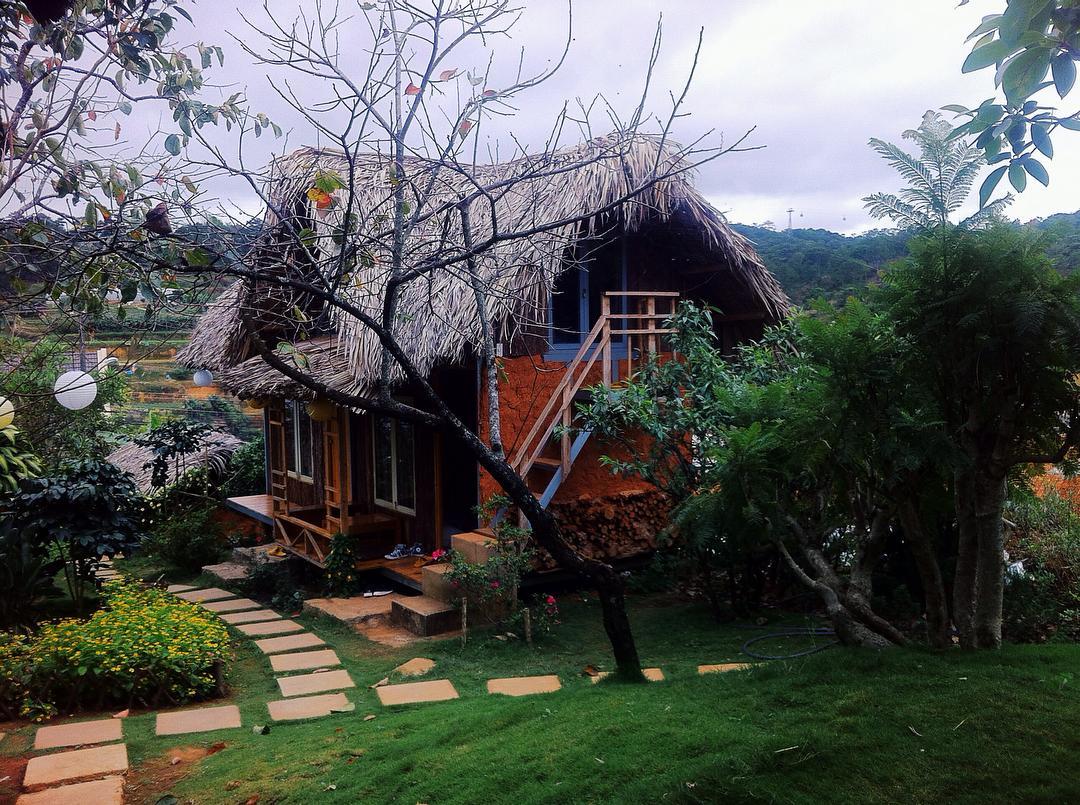 Thiết kế cảnh quan homestay view rừng núi - Zion's