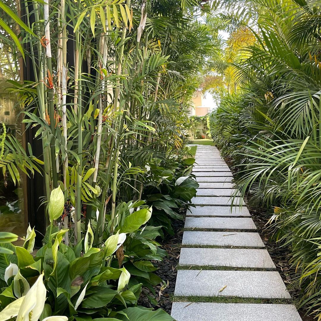 sân vườn nhiệt đới - tropical garden