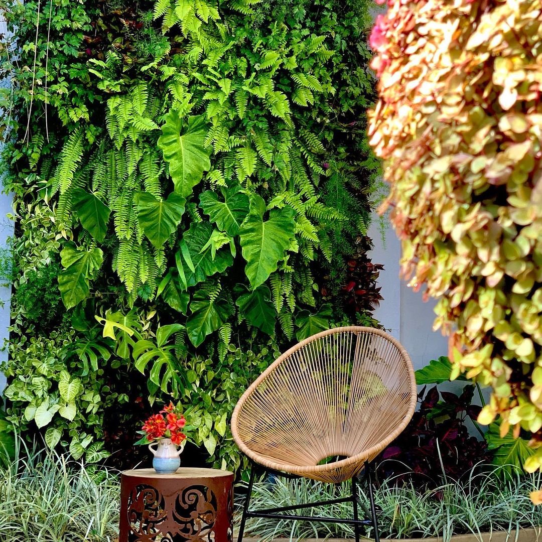 sân vườn nhiệt đới - tropical garden