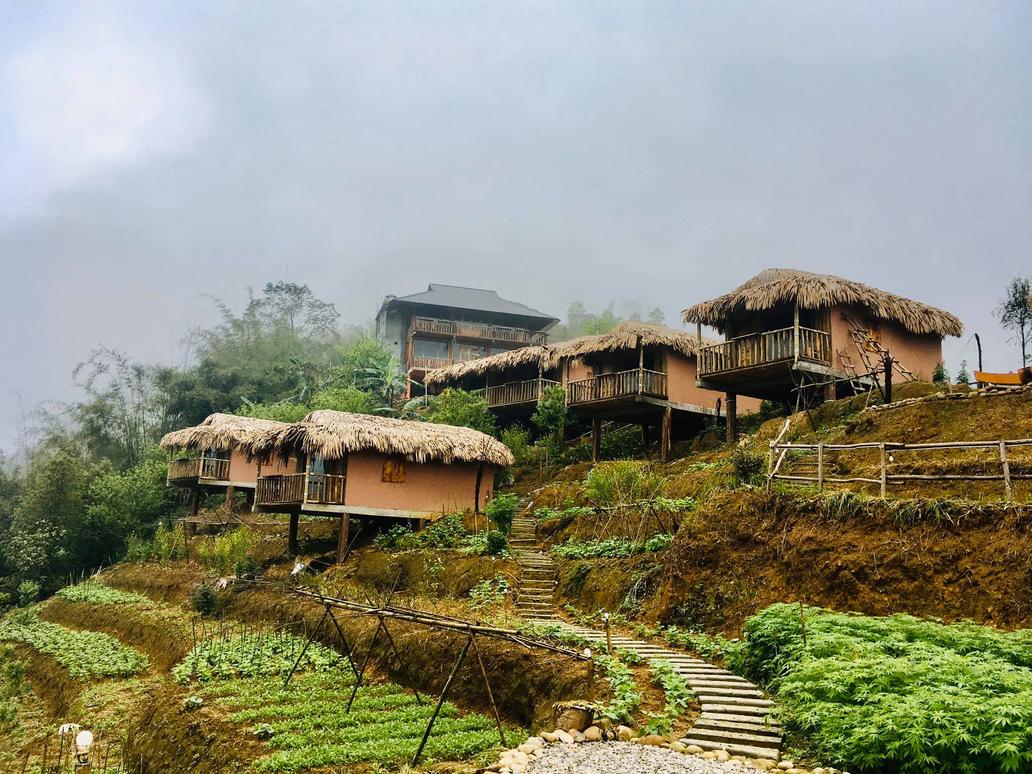 farmstay nhấn mạnh vào thiết kế cảnh quan xanh
