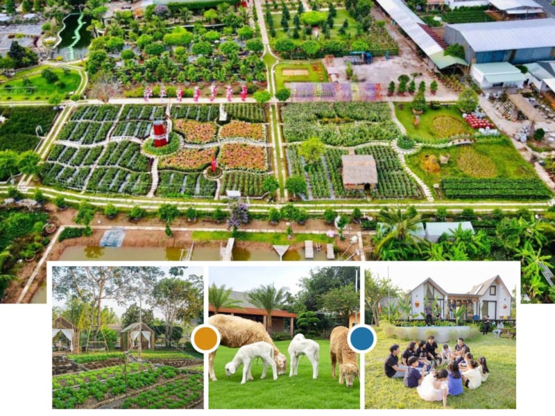 thiết kế thi công cảnh quan farmstay